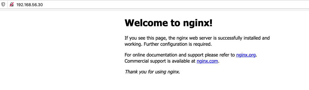 docker nginx welcome page2